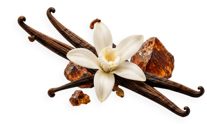 Vanilla Embers